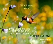 Image result for Joy in Animal Quotes