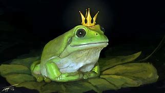 Image result for King Frog Meme