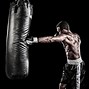 Image result for Training to Fight