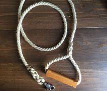 Image result for Rope Leash DIY