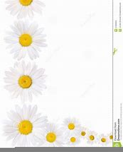 Image result for Daisy Flower Border Clip Art
