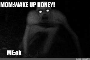 Image result for Wake Up Honey Meme