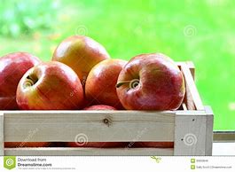 Image result for Gala Apple