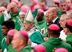 Image result for Pope Francis Meeting