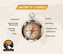 Image result for Compass Anatomy