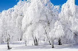 Image result for Beautiful Snowy Winter Scenes