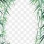 Image result for Bamboo Frame PNG