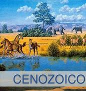 Image result for cenozoico