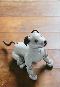 Image result for Puppy vs Robot