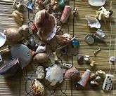 Image result for Sangoma Shells