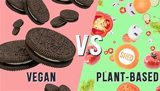 Image result for Vegan vs Fleisch