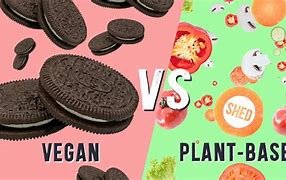 Image result for Vegan vs Non-Vegan