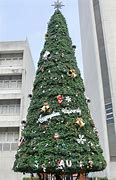 Image result for Christmas 169 Days
