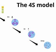 Image result for 4S Model