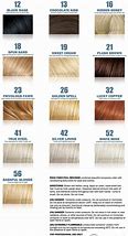 Image result for Fanciful Hair Color Mousse