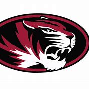 Image result for Tuttle Tigers Logo