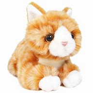 Image result for Cat Plush Toy