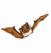 Image result for Bat White Baby Toy