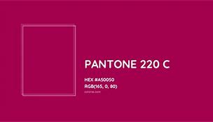 Image result for Pantone 220C