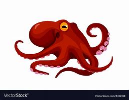 Image result for Red Octopus Cartoon
