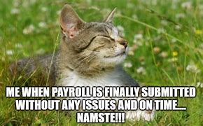 Image result for Payroll Cat Meme