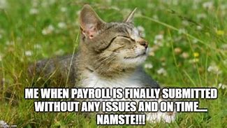Image result for Payroll Animal Meme