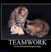 Image result for Funny Team of Three