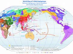 Image result for Y Chromosome Map