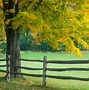 Image result for Amazing Nature Backgrounds