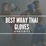 Image result for MMA Fighting Gloves