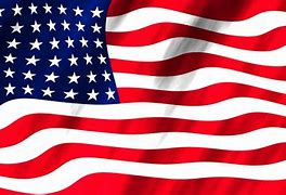 Image result for Different American Flags