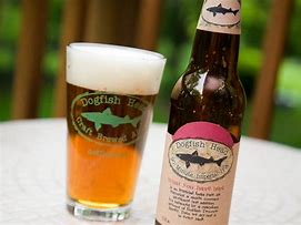 Image result for Dogfish Head 90 Minute IPA