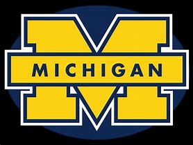 Image result for Team Michigann Wrestling Logo