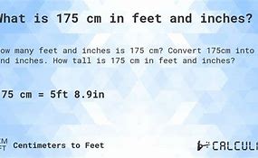 Image result for 175 in Feet