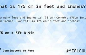Image result for 175 Cm in Feet