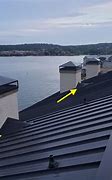 Image result for Cricket On a Roof Pics