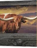 Image result for Texas Longhorn Steer