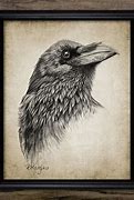 Image result for Gothic Raven Drawings