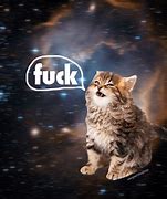 Image result for Cat in Space Meme
