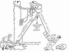 Image result for Tree Figure 8 Rigging Equipment