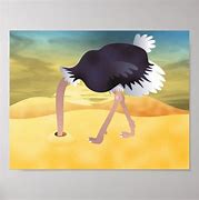 Image result for Ostrich Head in Sand Pic