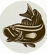 Image result for Largemouth Bass Wallpaper Png