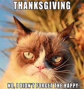 Image result for First Thanksgiving Meme