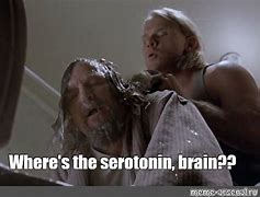 Image result for Serotonin Machine Broken Meme