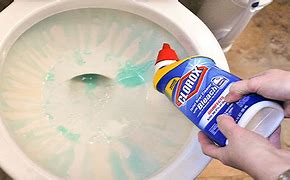 Image result for Unclogging a Toilet with Bleach