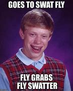 Image result for Fly Swatter Meme