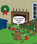 Image result for Christmas Cat Jokes