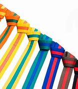 Image result for Karate Belt Colors