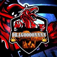 Image result for Dragon CS GoPro Team