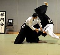 Image result for Vo Aikido